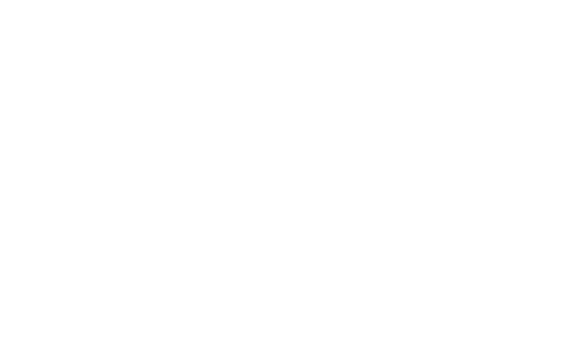 自己理解、ストレングスファインダー、フラメンコ